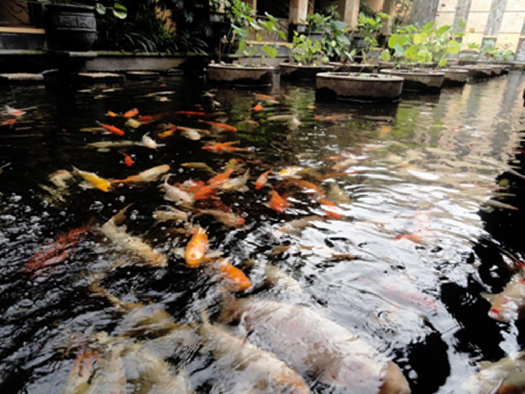 Lotus Garden Hotel Kediri  Eksteriør billede
